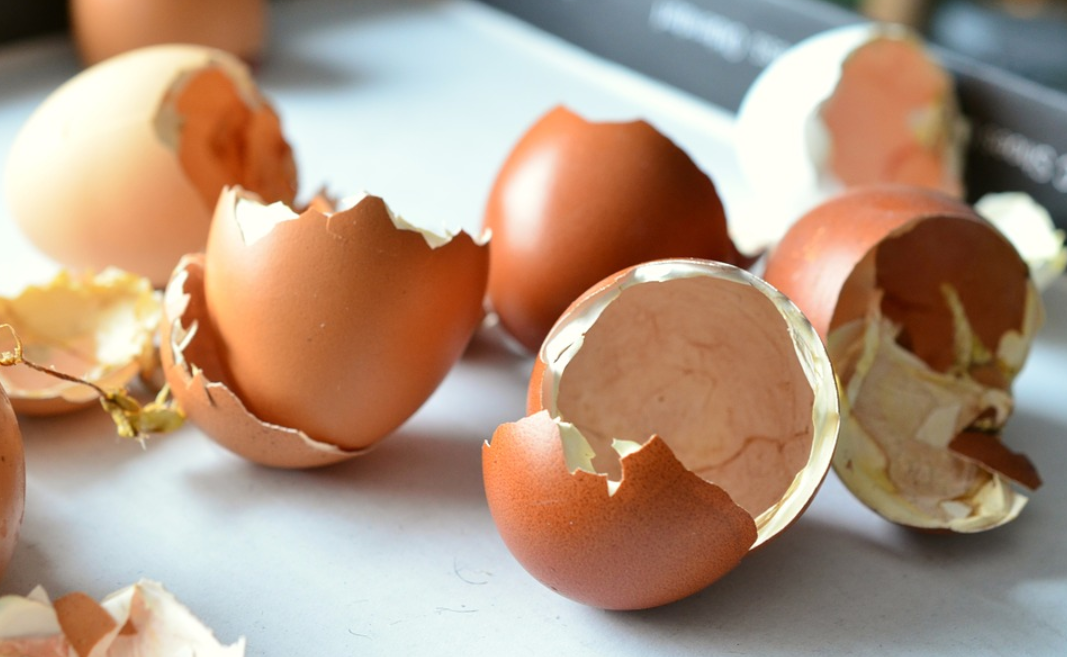 5 Clever Uses for Eggshells You Never Knew